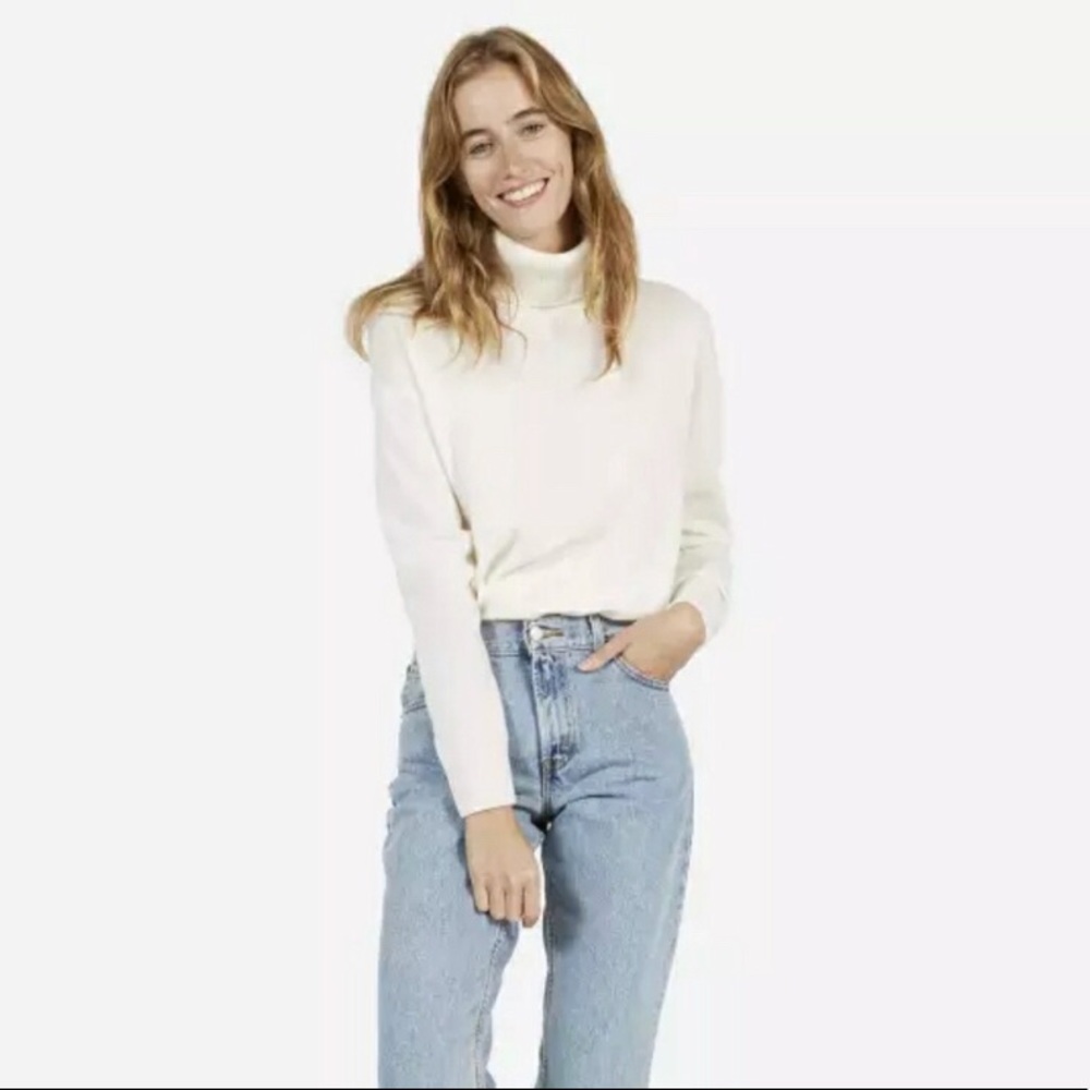 Everlane 100% Cashmere Turtleneck Sweater